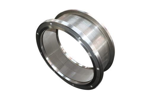 Shrimp & Fishery Feed Ring Die